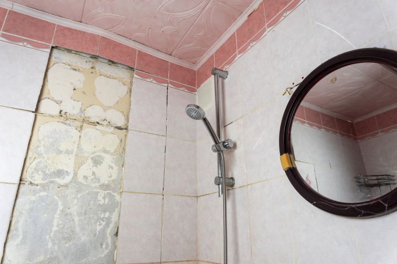 Top Shower Remodeling Companies in Sun City, AZ